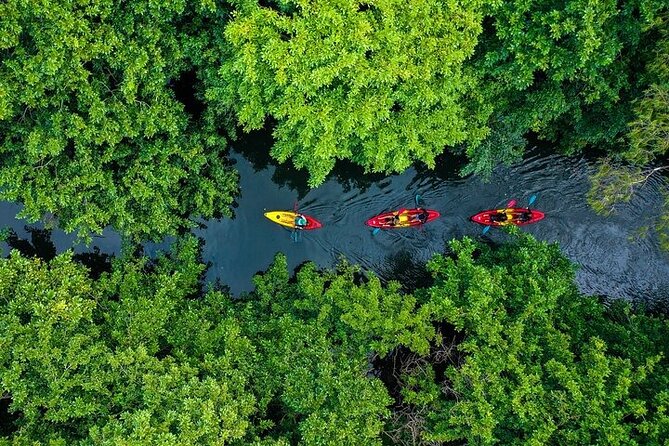 Afternoon Guided Kayak Activity on the Tamarin River - Quick highlights