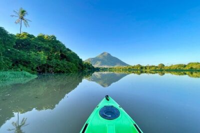 Afternoon Guided Kayak Activity on the Tamarin River - The upstream route: calm water, two river arms, and mountain views