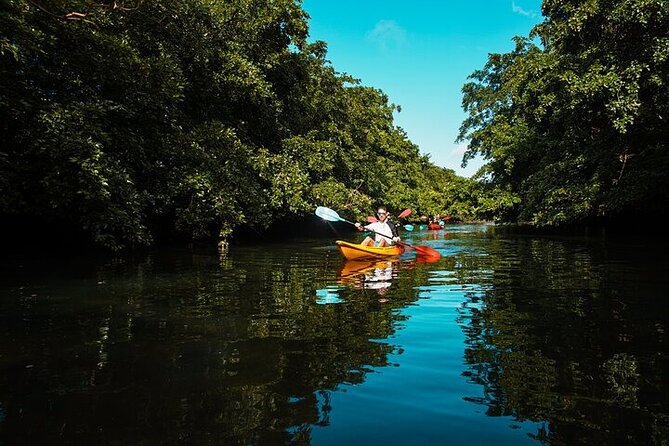 Afternoon Guided Kayak Activity on the Tamarin River - Price and value: $49.40 for calm river time and included gear