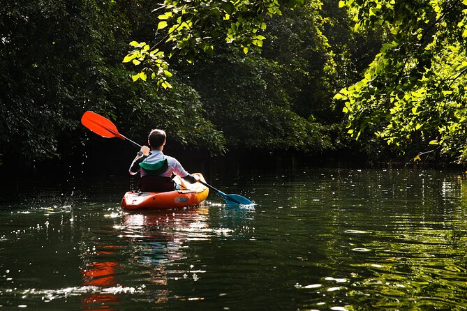 Afternoon Guided Kayak Tour on the Tamarin River - Smart ways to get the best afternoon on the water