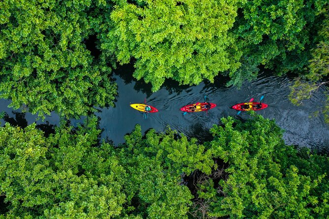 Afternoon Guided Kayak Tour on the Tamarin River - The paddle itself: calm water plus Tamarin storytelling