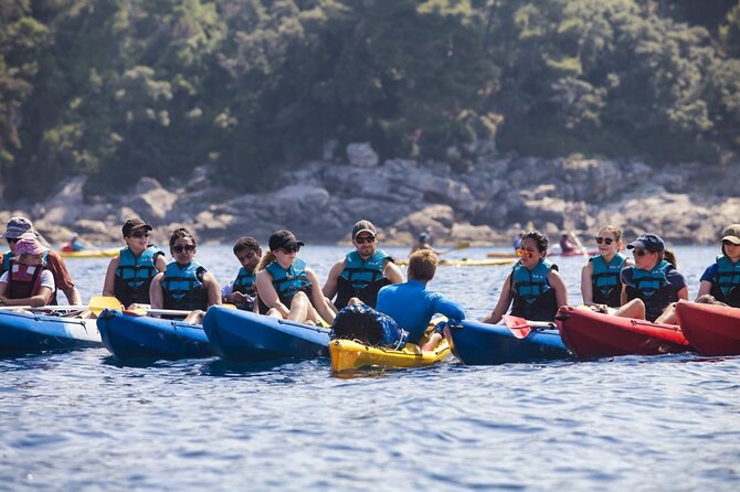 Afternoon Kayaking in Dubrovnik - Key Things I’d Watch for on This Dubrovnik Kayak Trip