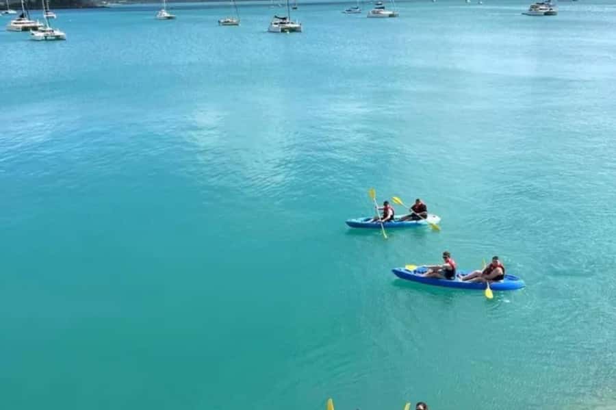 Airlie Beach: Half Day Turtle Tour Sea Kayaking Adventure - Where This Fits in Your Airlie Beach Days