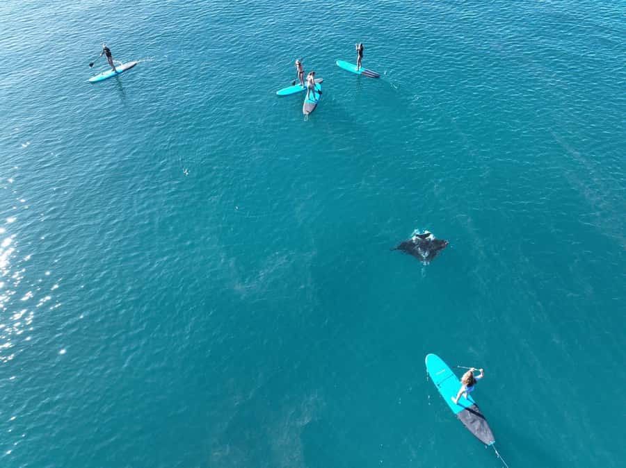 Airlie Beach: Whitsunday Islands Sailing, SUP & Snorkel Tour - BYOB Rules, Music Zones, and What to Bring for Comfort