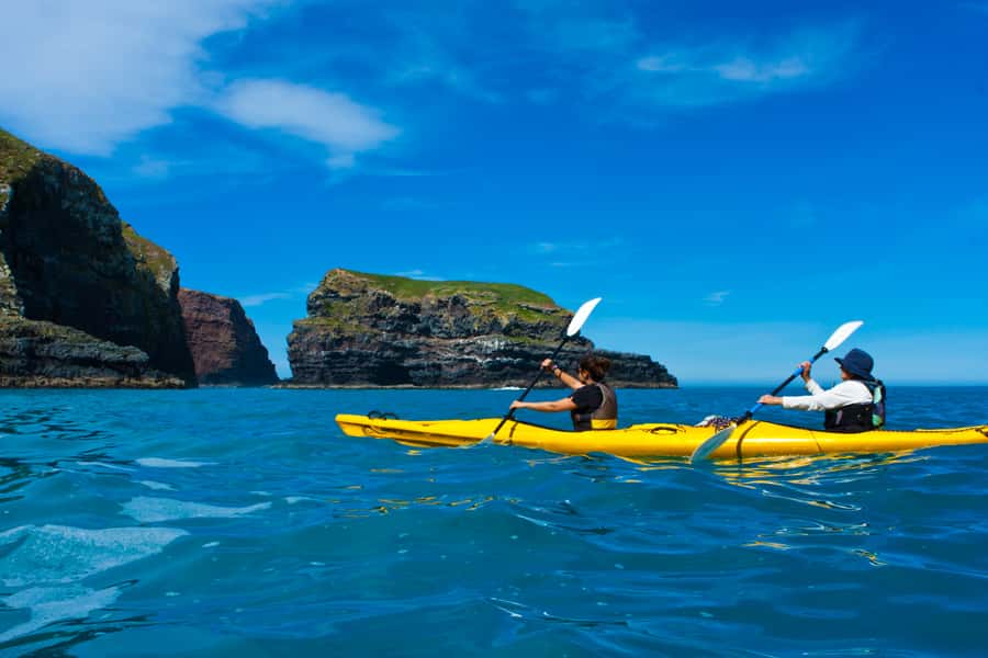 Akaroa: 4WD Safari and Guided Sea-Kayaking Experience - Should you book the Akaroa 4WD safari and Pohatu sea-kayaking?
