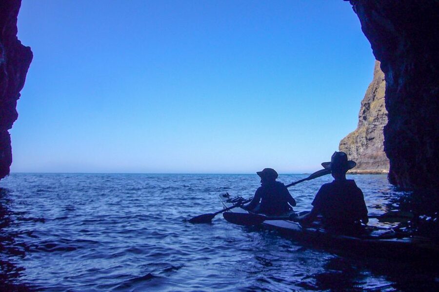 Akaroa: 4WD Safari and Guided Sea-Kayaking Experience - Wildlife sightings that feel earned: penguins, seals, sea birds, and possible dolphin action
