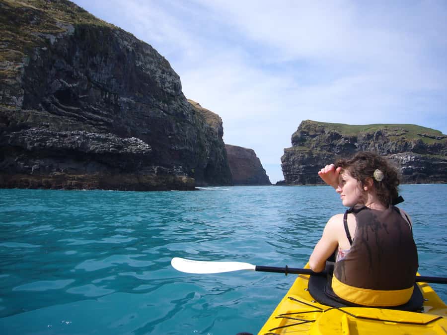 Akaroa: 4WD Safari and Guided Sea-Kayaking Experience - Who runs the day matters: the guide’s role in safety, spotting, and meaning