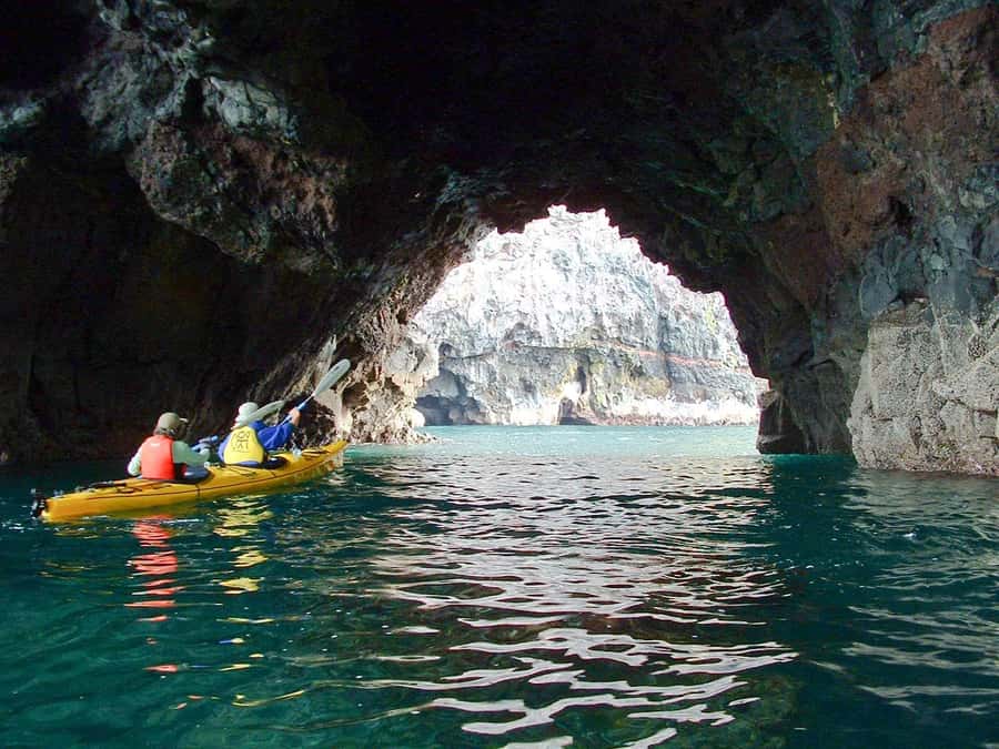 Akaroa: 4WD Safari and Guided Sea-Kayaking Experience - Fitness, kids, and access: who this is best for