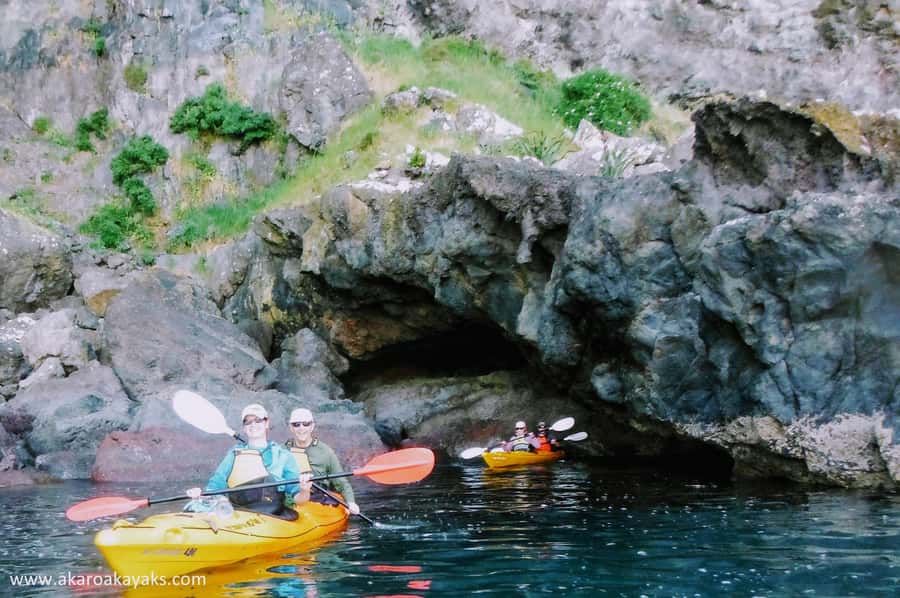 Akaroa: Akaroa Marine Reserve Sea Kayaking Tour - Should you book the Akaroa Marine Reserve Sea Kayaking Tour?