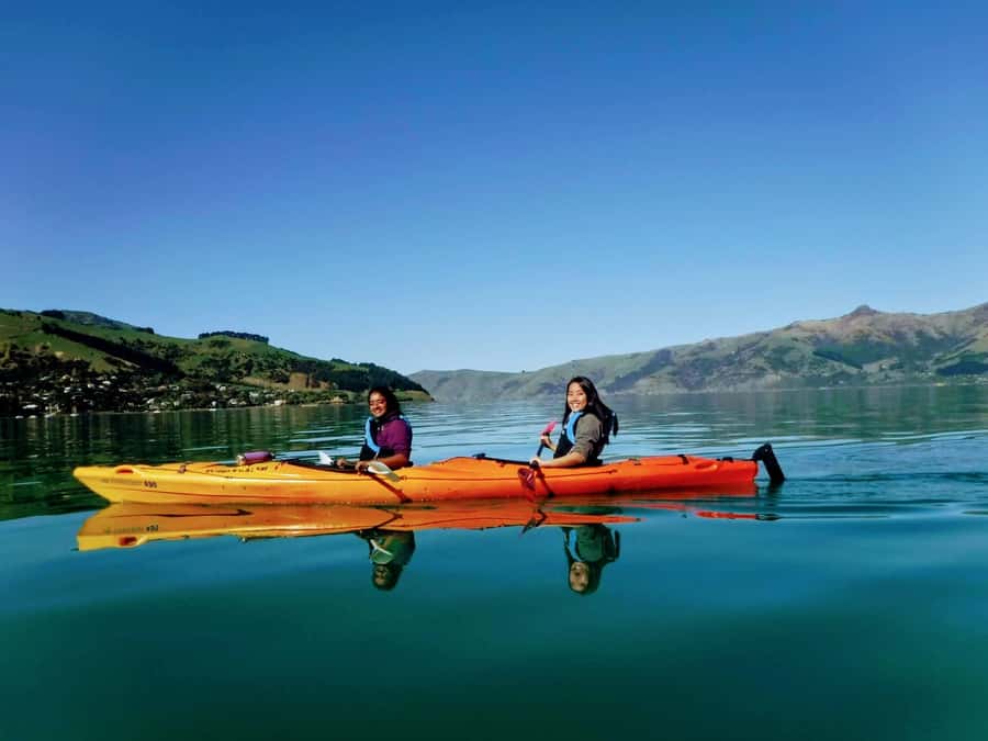Akaroa: Akaroa Marine Reserve Sea Kayaking Tour - From Christchurch to Akaroa Harbour: why this start point matters