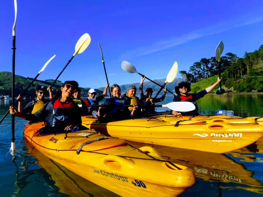 Akaroa: Akaroa Marine Reserve Sea Kayaking Tour - Your guide and small-group setup: getting confidence fast