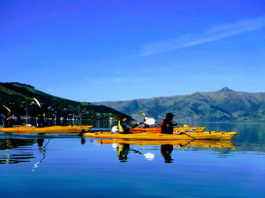Akaroa: Akaroa Marine Reserve Sea Kayaking Tour - The 150 minutes on the water: pacing, effort, and where you’ll likely spend your time