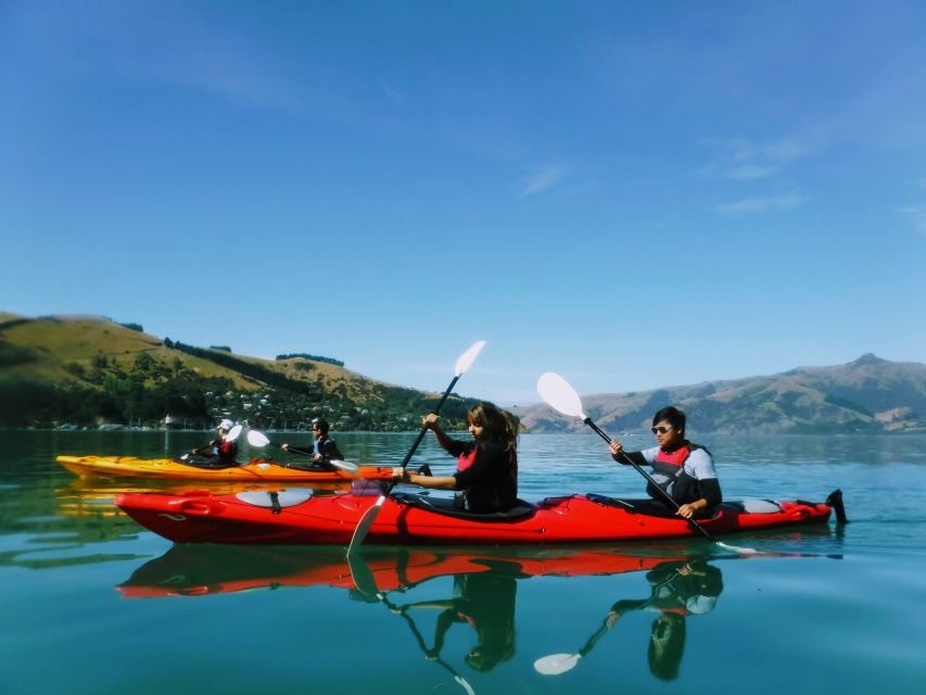 Akaroa: Akaroa Marine Reserve Sea Kayaking Tour - What to pack for Akaroa: wind, sun, and the basics that keep you comfortable