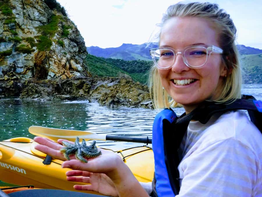 Akaroa: Akaroa Marine Reserve Sea Kayaking Tour - Price and value: does $80 make sense for a 2.5-hour guided kayak safari?