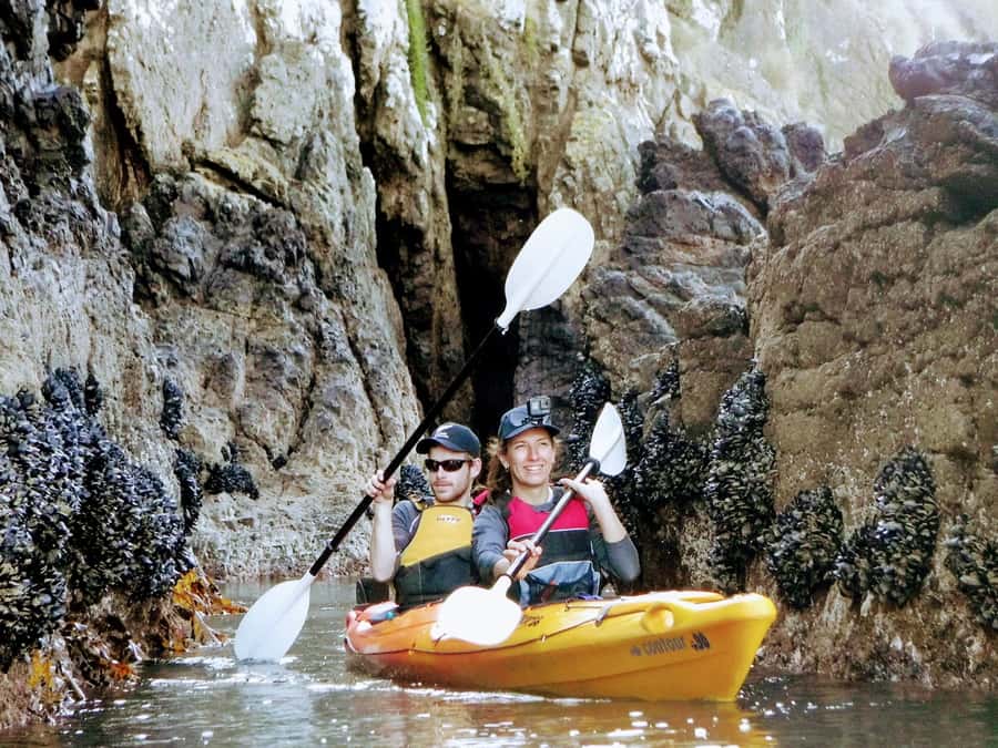 Akaroa: Akaroa Marine Reserve Sea Kayaking Tour - Who should book this tour (and who should think twice)