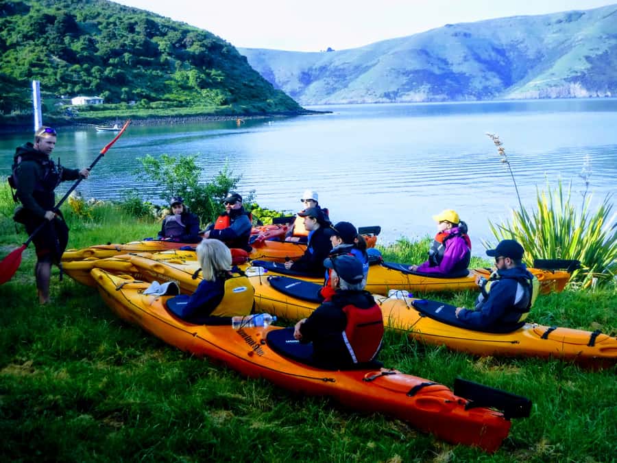Akaroa: Guided Sunrise Sea Kayaking Tour - Should you book Akaroa’s guided sunrise sea kayaking tour?