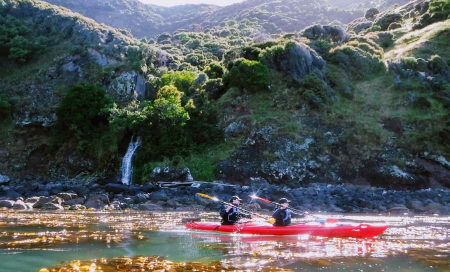 Akaroa: Guided Sunrise Sea Kayaking Tour - Being in the harbour before the crowds (and why it helps wildlife)