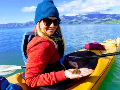 Akaroa: Guided Sunrise Sea Kayaking Tour - The 3-hour route: how the morning pacing works