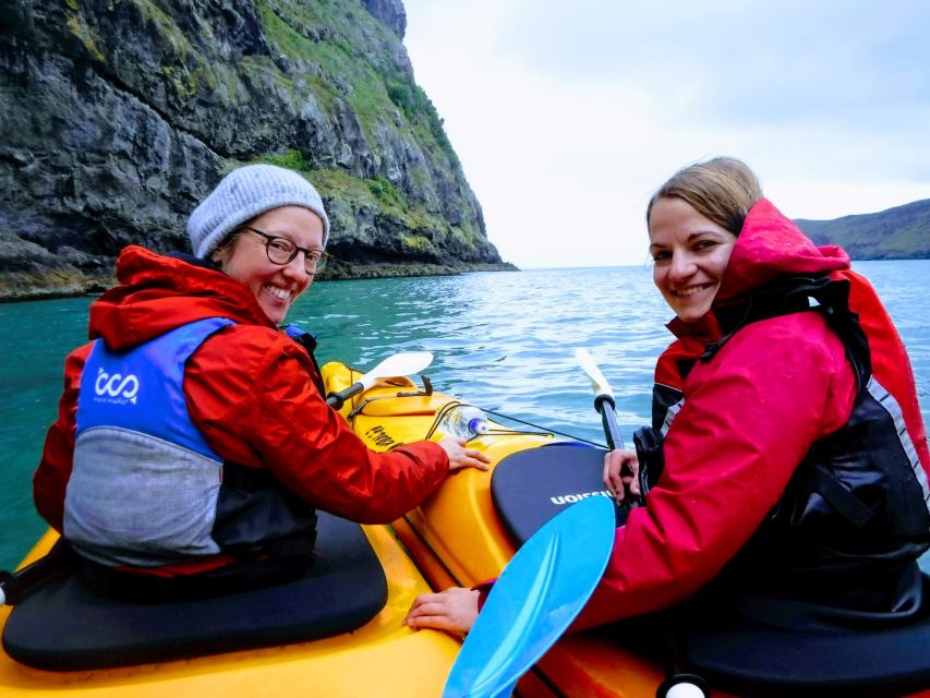 Akaroa: Guided Sunrise Sea Kayaking Tour - Who should book this Akaroa sunrise kayak safari