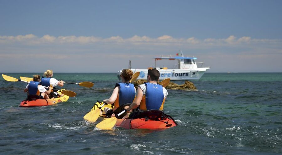 Albufeira: Algarve Kayak and Coastline Tour - Swim stops: where you cool off and what to expect