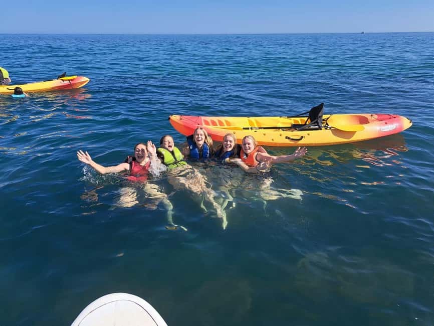 Albufeira: Hidden Beaches & Cliffs Guided Kayak Cave Tour - Praia do Ninho das Andorinhas: Pass-By Coves and Narrow Openings