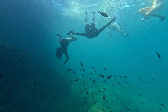 Alcudia: Guided Sea Kayaking & snorkelling Tour (day & sunset) - Price and value: why about $66 makes sense for this mix
