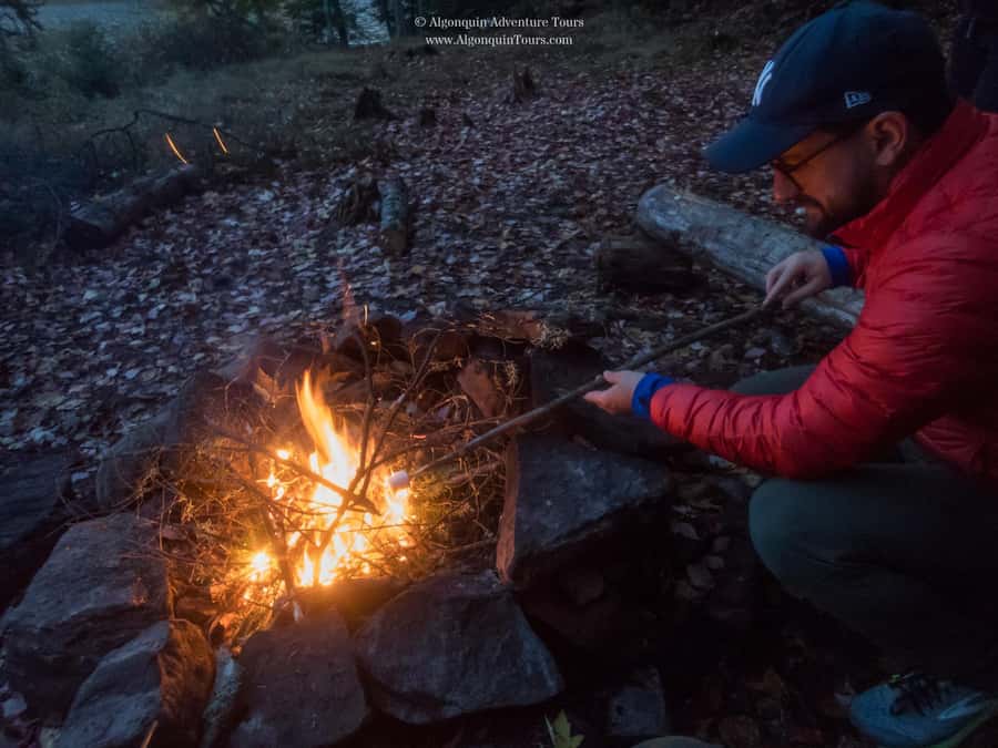 Algonquin Park: Canoe Camping Safari - Algonquin Park by Canoe: The Trip Vibe You’re Actually Buying