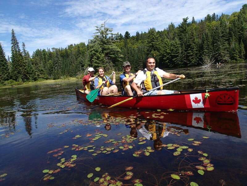 Algonquin Park: Guided Canoe Day Tour - Key highlights worth showing up for