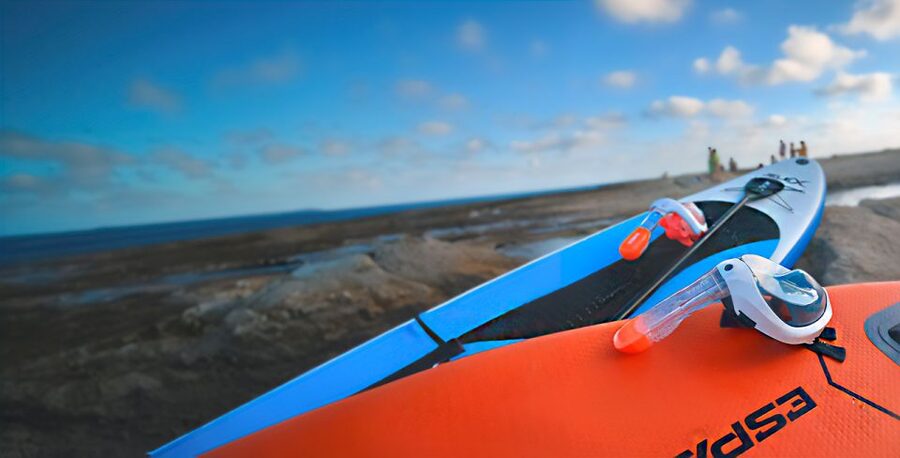 Alicante: E-Bike, Snorkeling and Paddle Surf Tour - La Albufereta Stop: Roman Fish-Farm Remains Give the Coast Context