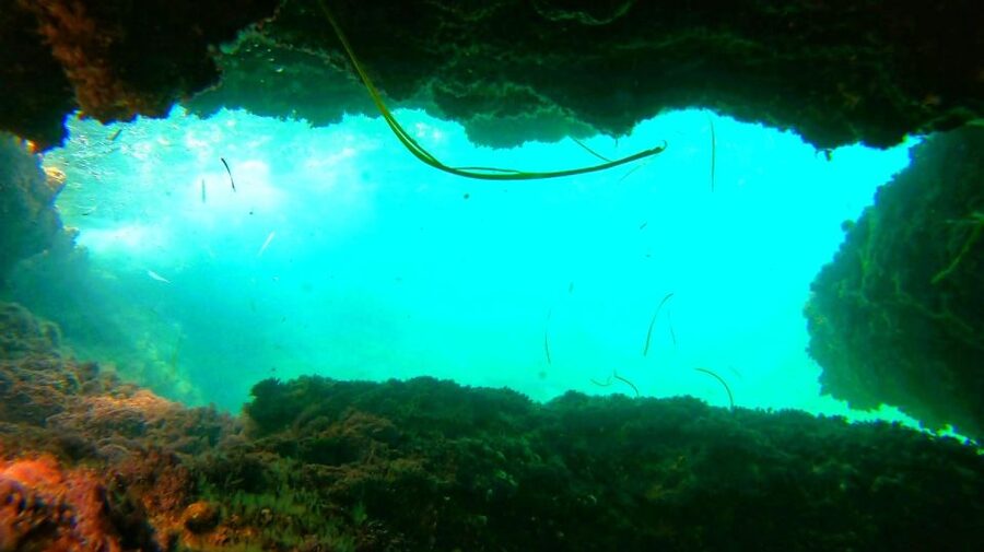 Altea: Guided Kayak Tour - Who this tour fits best (and who should skip it)