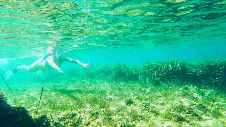 Altea: Guided Kayak Tour - Pesqueras + geology: learning that connects to what you’re doing