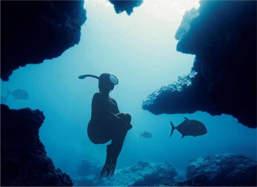 Altea: Morro de Toix Guided Kayak Excursion - Snorkeling Stop in a Calm Cove: Clear Water and Marine Life Clues
