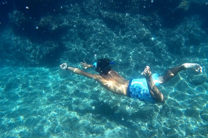 Amalfi Coast Kayak Tours from Marina del Cantone - Key highlights at a glance
