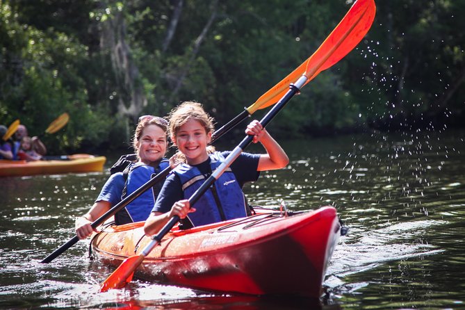 Amelia Island Guided Kayak Tour of Lofton Creek - Key things you’ll notice on this Lofton Creek kayak trip