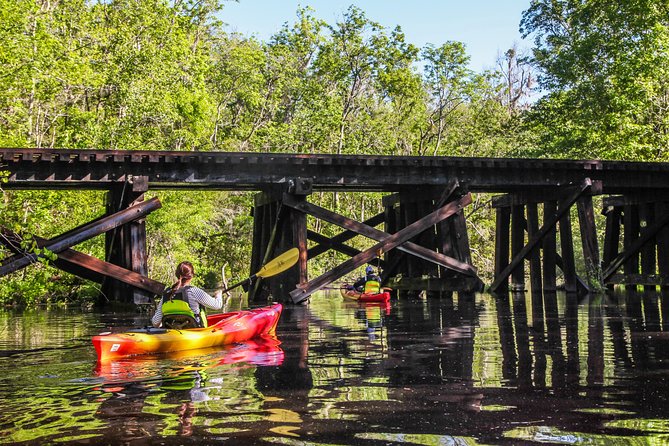 Amelia Island Guided Kayak Tour of Lofton Creek - Lofton Creek: the blackwater Florida you can actually picture