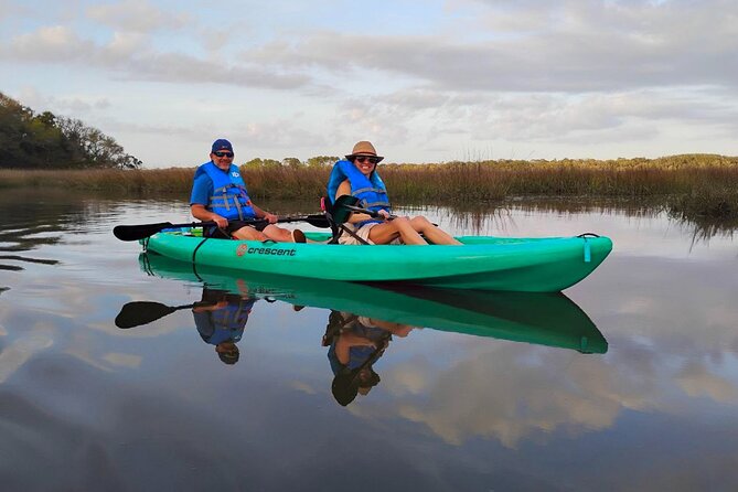 Amelia Island Kayak and Paddleboard Rentals Talbot State Park - Wildlife moments you can aim for (and how to enjoy them)