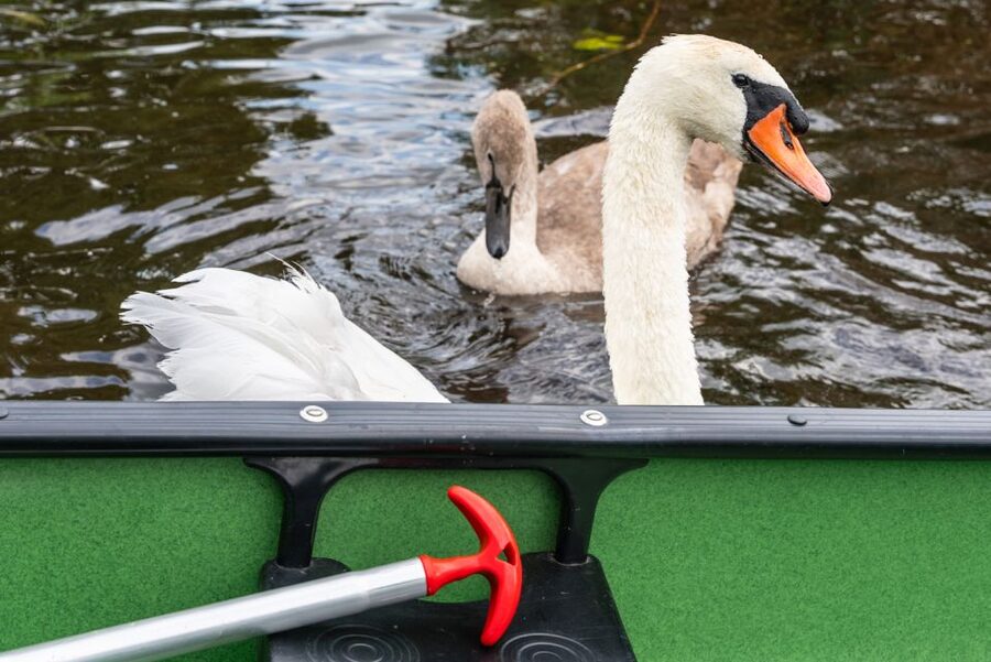 Amsterdam: 2-Hour Guided Canoe Trip - Price and what $47 buys you (and what it doesn’t)
