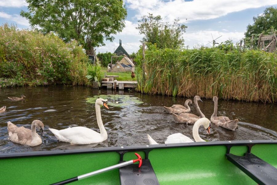 Amsterdam 5-Hour Guided Canoe Trip in the Wetlands - Windmills on the Way Back: Tiny Dutch Icons in Real Scale
