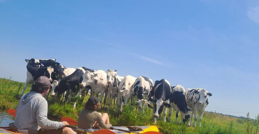 Amsterdam: Countryside Bike and Kayak Guided Tour - Key highlights at a glance