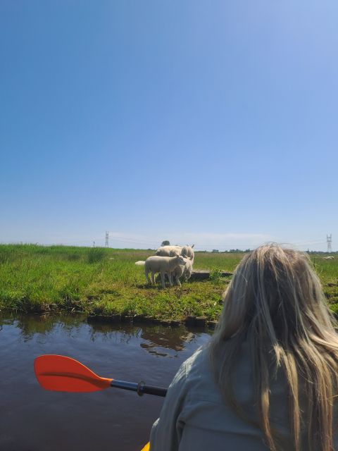 Amsterdam: Countryside Bike and Kayak Guided Tour - Amsterdam to North Holland by bike and kayak: the value of switching scenery