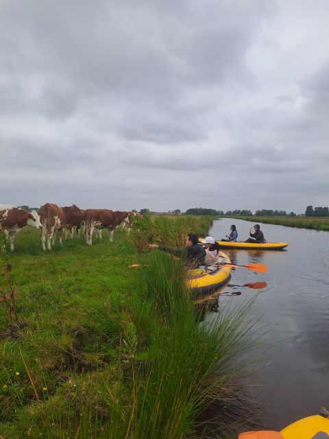 Amsterdam: Countryside Bike and Kayak Guided Tour - D’Admiraal Windmill: a photo stop that actually feels worth your time