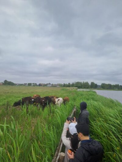 Amsterdam: Countryside Bike and Kayak Guided Tour - Meeting at A’DAM Lookout and the simple way to get there