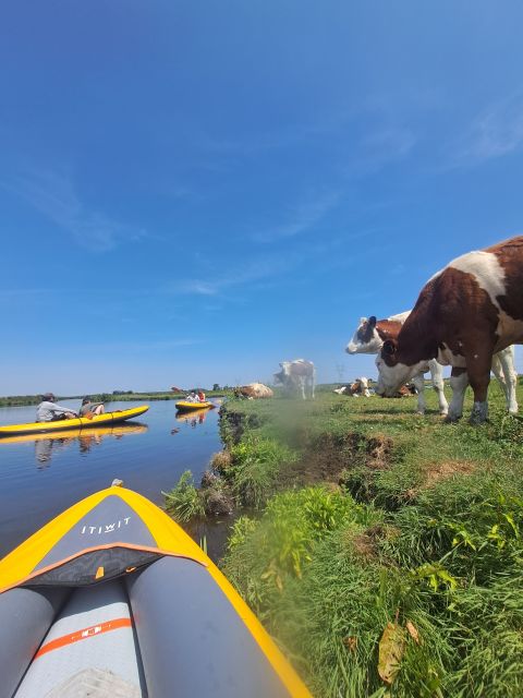 Amsterdam: Countryside Bike and Kayak Guided Tour - The ride back through Amsterdam-Noord: keep the momentum, enjoy the views