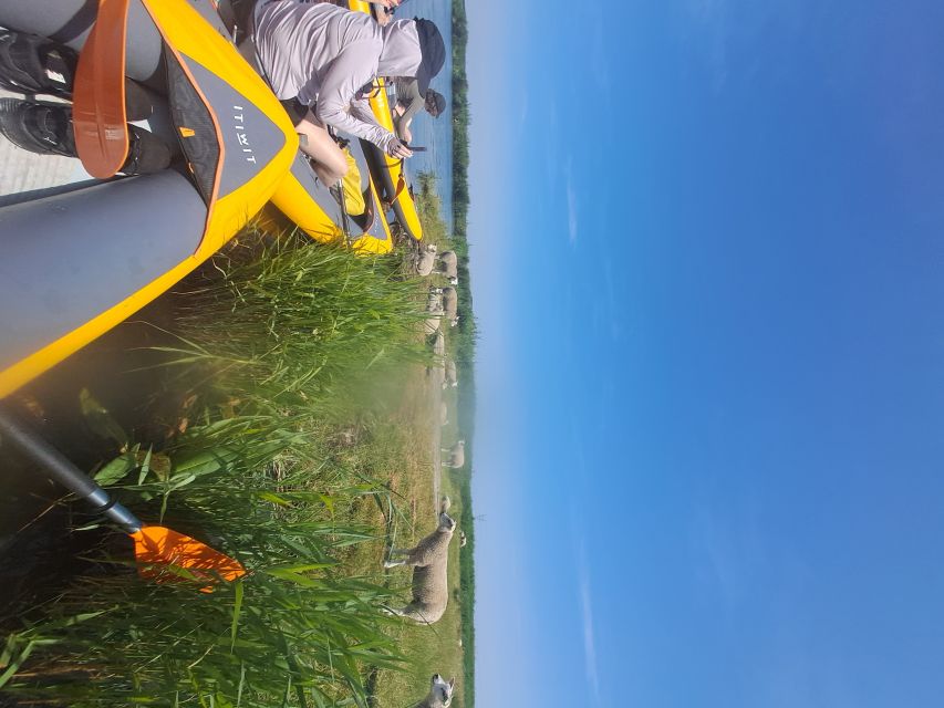 Amsterdam: Countryside Bike and Kayak Guided Tour - What you get for $84: why this feels like more than two activities