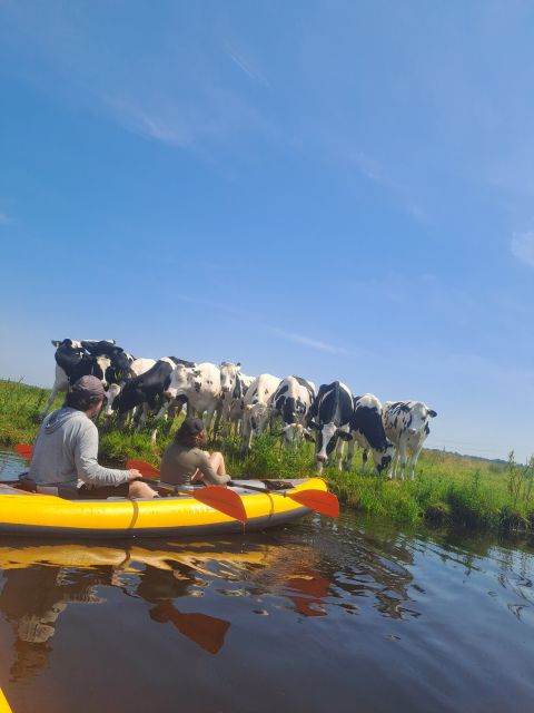 Amsterdam: Countryside Bike and Kayak Guided Tour - Pace, group size, and the guide: how the day stays fun (not stressful)