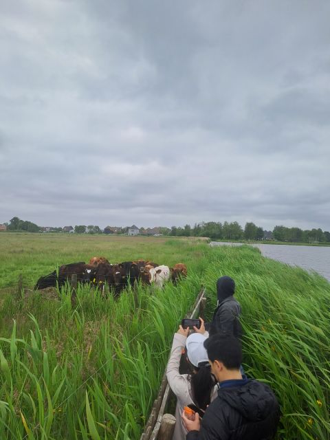 Amsterdam: Countryside Bike and Kayak Guided Tour - Meeting at A’DAM Lookout and the simple way to get there