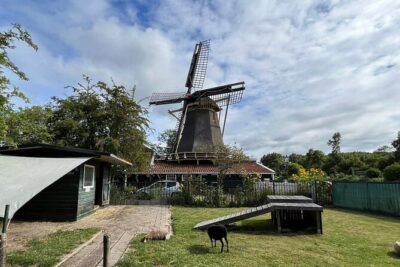 Amsterdam Countryside Bike and Kayak Tour - Meeting at Overhoeksplein and finishing at the A’DAM tower