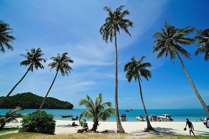 Angthong National Marine Park by Speed Boat with Snorkeling & Kayaking - Getting to Angthong: Pickup, the Pier, and the 8:00am Start