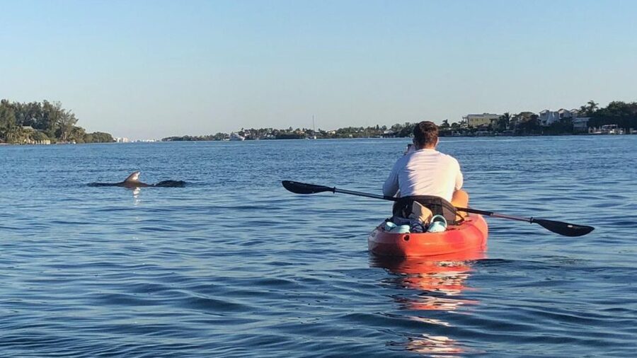 Anna Maria Island and Bradenton: Sunset Kayak Dolphin Tour - Guides You’ll Feel: Safety, Pace, and the Fun Factor