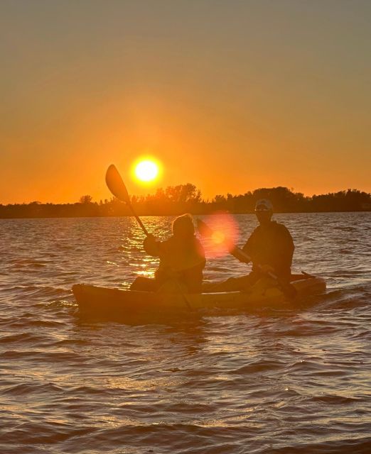 Anna Maria Island and Bradenton: Sunset Kayak Dolphin Tour - What to Bring (and What to Accept)